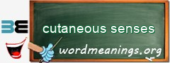 WordMeaning blackboard for cutaneous senses